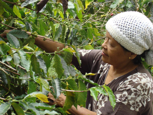 Sumatra, Indonesia, South East Asia