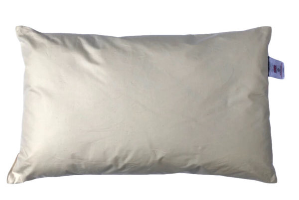 Cot Bed Organic Pillow